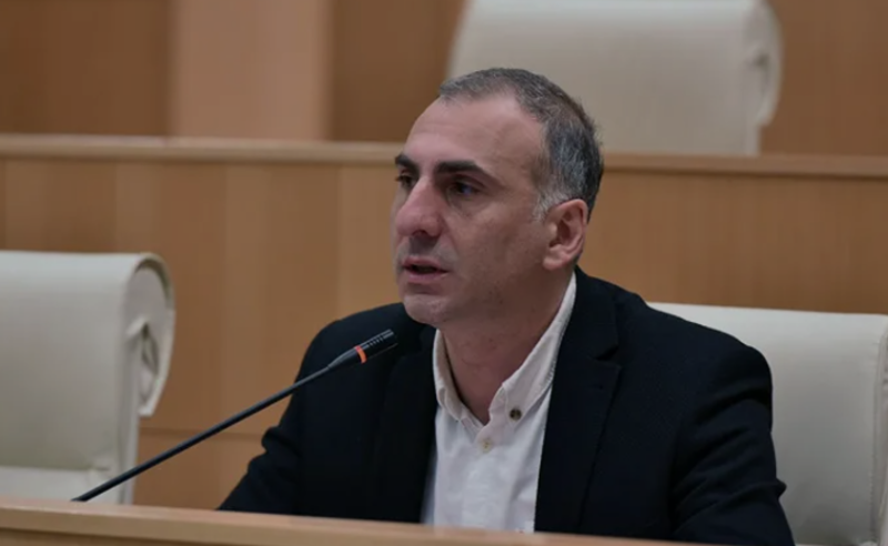 სერგეენკოს მანდატი არ გაუუქმეს, რადგან იმედი აქვთ, რომ პრეზიდენტის იმპიჩმენტს დაუჭერს მხარს - ელისაშვილი