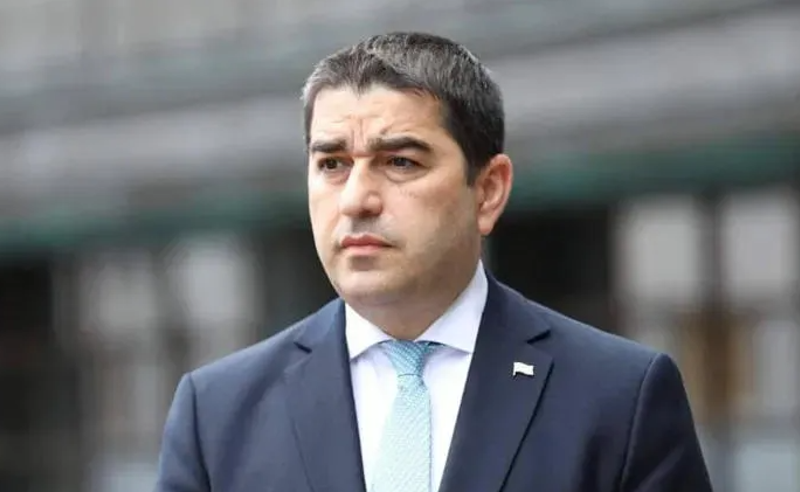 გადაშალეთ მათემატიკის რვეული - პაპუაშვილი ევროპარლამენტარებს "რუსული ნარატივის" გავრცელებაში ადანაშაულებს