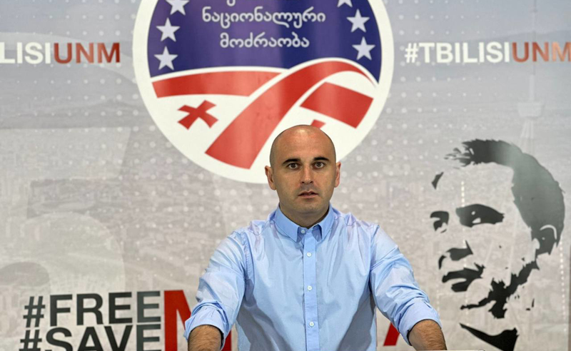 ივანიშვილის დადგმულ სიგიჟეში მონაწილეობას არ მივიღებთ - ენმ-ს პოზიცია პრეზიდენტის იმპიჩმენტზე