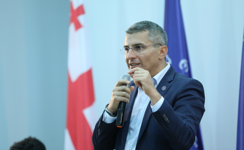 სამი რეკომენდაციიდან ორს შევასრულებთ, ერთი დეპოლარიზაცია ჩვენზე არ არის დამოკიდებული - მდინარაძე