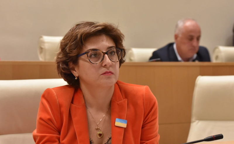 პირდაპირი გზავნილია ივანიშვილისთვის, რომ არცერთი საკითხი არ დარჩება შესწავლის, კონტროლის და რეაგირების გარეშე - სამნიძე