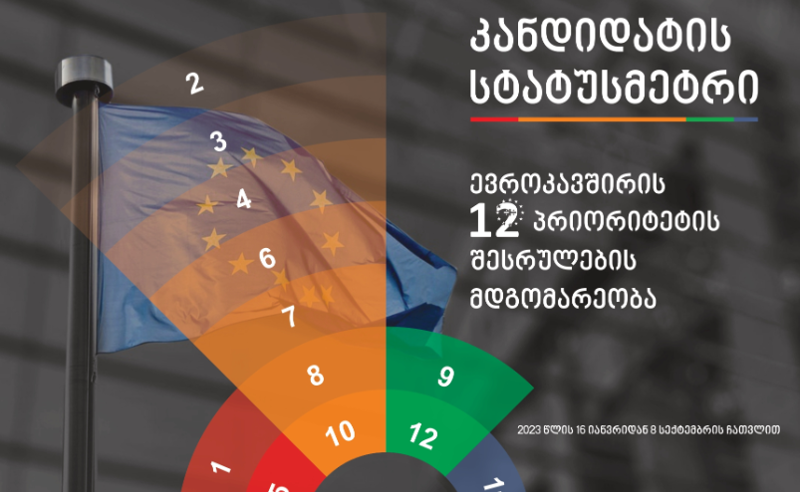 12 რეკომენდაციიდან სრულად მხოლოდ ერთია შესრულებული - საზოგადოებრივი ორგანიზაციების ბოლო შეფასება