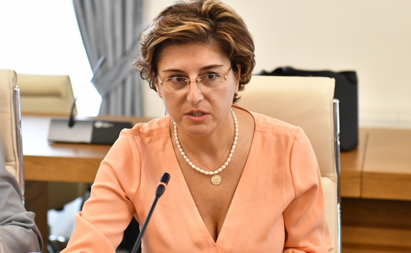 სუს-მა ვერ აღმოაჩინა, რომ ფარცხალაძე რუსეთთან იყო კავშირში, ამ პროცესში მარტო არ იქნებოდა - ხათუნა სამნიძე