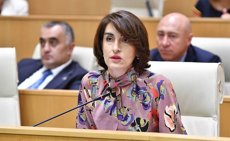 რეკომენდაციის შესრულების კუთხით ყველაფერია გაკეთებული - ბოჭორიშვილი