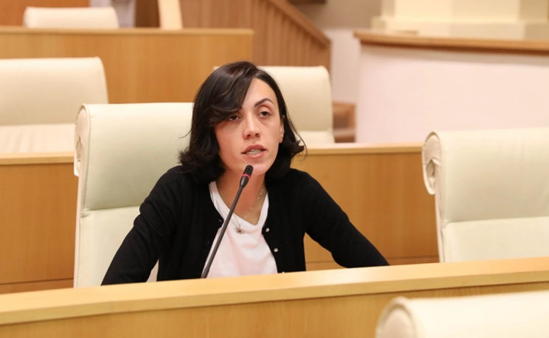 მერამდენედ უნდა შეგეწეროთ ბიჭებო? - წითლიძე "ოცნებას"