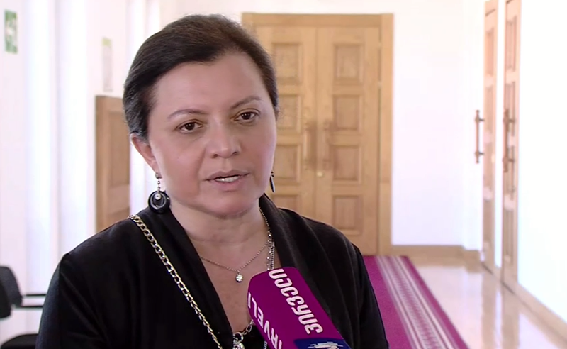 "ეროვნული სირცხვილია" - ხერხეულიძე ფარცხალაძისთვის მოქალაქეობის შენარჩუნებაზე