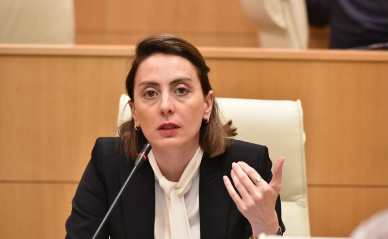 სანქცირებული ფარცხალაძის საქმე - ხატია დეგანოიძეს ლილუაშვილსა და შოთაძესთან კითხვები აქვს