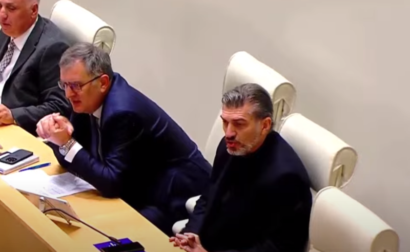 ჩხუბი და დაპირისპირება პარლამენტში - როგორ იცავდა რუსეთის მოქალაქე ფარცხალაძეს "ოცნების" რადიკალური ფრთა
