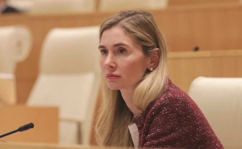 ივანიშვილი თავგამოდებით იცავს ფარცხალაძეს, რადგან იცის, რომ სანქციების შემდეგი სამიზნე თვითონ არის - ბოკუჩავა