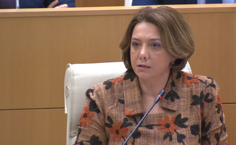 კობახიძე და პაპუაშვილი ფარცხალაძის სარდაფში ნაცემს ჰგვანან - სამადაშვილი