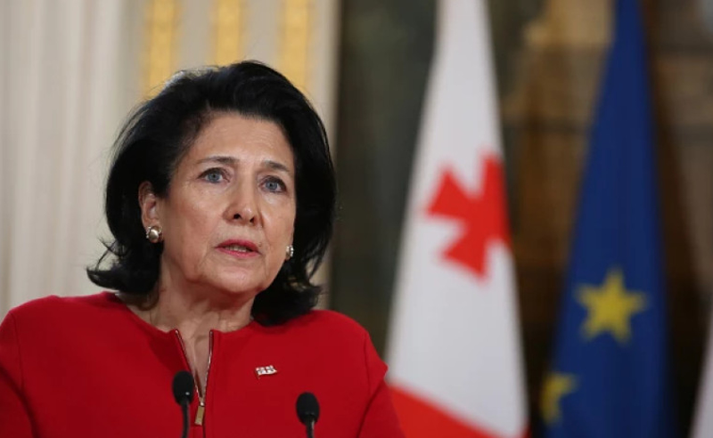 პრეზიდენტი საერთაშორისო სავალუტო ფონდის მისიის მუდმივ წარმომადგენელს შეხვდა