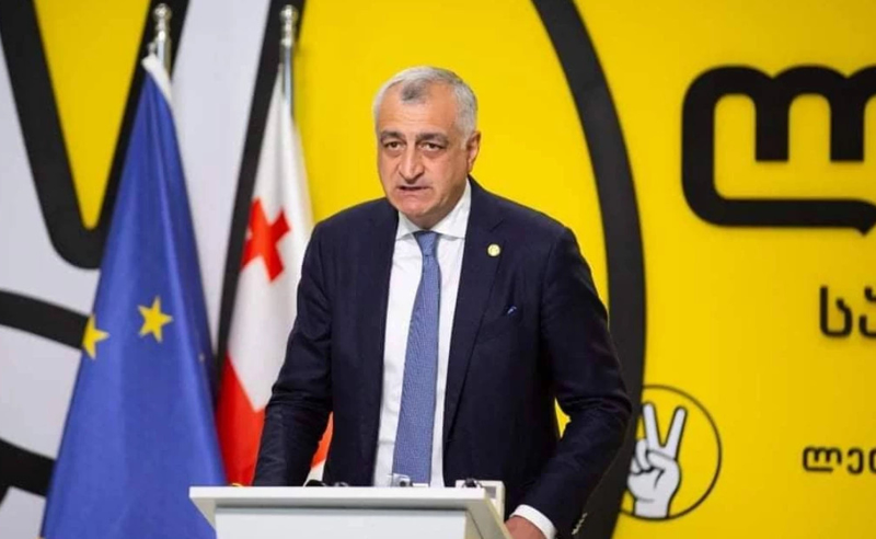 სად არის ანაკლია? წინასაარჩევნოდ მიიყვანთ ორ ტრაქტორს და დაიწყებთ რაღაცის კეთებას - ხაზარაძე