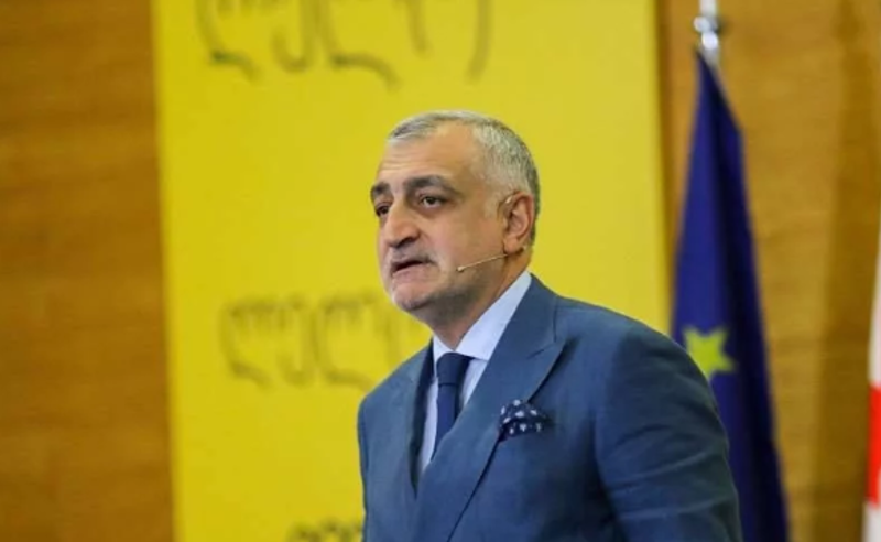 ჯაშუშები გვყავს არამარტო ფარცხალაძის სახით, არამედ გამოკვეთილად არის ბიძინა ივანიშვილი - მამუკა ხაზარაძე