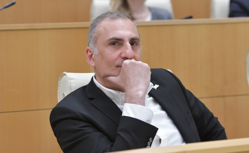 ვერ ვხვდები, სად მოჩხრიკა ზურაბიშვილმა ასეთი დაზიანებული რეპუტაციის ადამიანი - ელისაშვილი ყეინიშვილის სებ-ში დანიშვნაზე