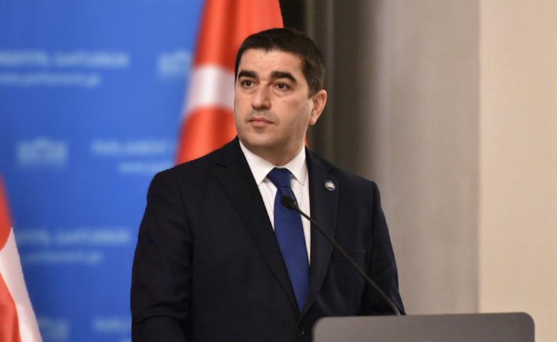 პაპუაშვილი სალომე ზურაბიშვილს სებ-ის პრეზიდენტის მიმართ შანტაჟსა და მუქარაში ადანაშაულებს