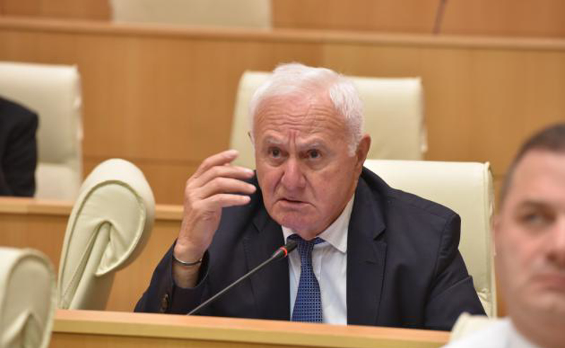 თუ ჩინურმა კომპანიამ გაიმარჯვა, მე ამაში პრობლემას ვერ ვხედავ - ინჯია ანაკლიის პორტზე