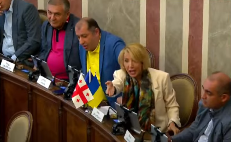"დამოკლეს მახვილი თავზე გკიდიათ" - ხმაური და ფიზიკური დაპირისპირება თბილისის საკრებულოში 