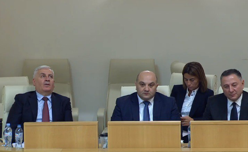  "ფარცხალაძის დაცვა, შოვის ტრაგედიის შაფარცხვა" - ბოკუჩავას კითხვები და ბრალდებები გომელაურს