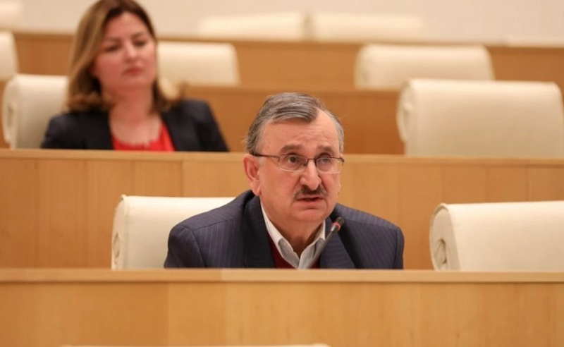 გგონიათ, რომ ივანიშვილი გისმენთ, ის ისე გისმენთ, როგორც მე - ჩემი კატა ტელეეკრანების წინ - გოცირიძე "ოცნებას"