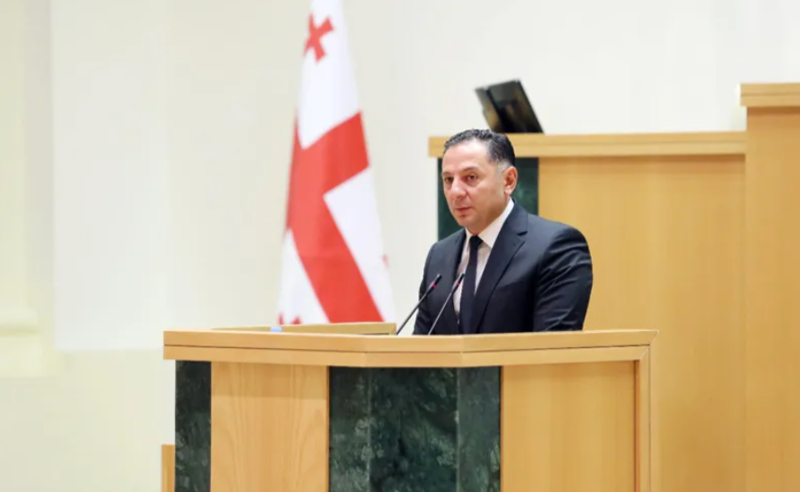 "ნაძირალა", "არაკაცი", "მაჯლაჯუნა" - როგორ იცავდა "ოცნება" ოპონენტებისგან შს მინისტრს