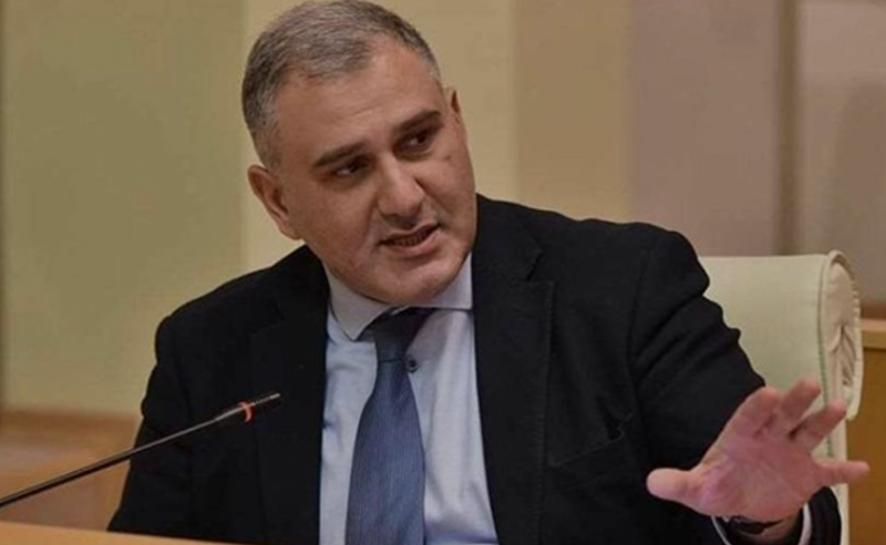 "პრეზიდენტი ევროპაში დადის და ქადაგებს, რომ საქართველოს  კანდიდატის სტატუსი არ ეკუთვნის" - სარჯველაძე