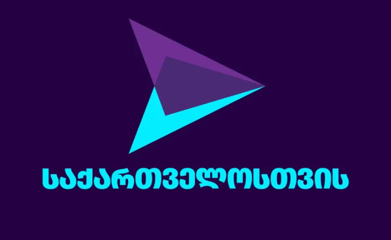 გახარიას გუნდი  შოვზე საგამოძიებო კომისიის შექმნას მხარს დაუჭერს
