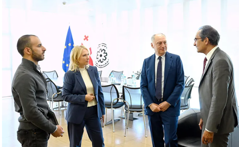 ნათია თურნავა IMD-ის წარმომადგენელს შეხვდა