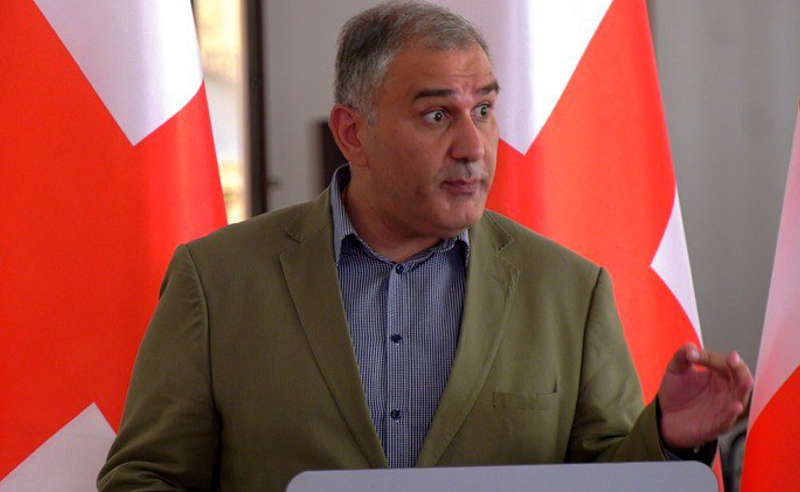 "მძევლად ყოფნა უწევს პრეზიდენტს... მნიშვნელოვანი, რომ წამოგვეწყო საუბარი იმპიჩმენტზე" - სარჯველაძე