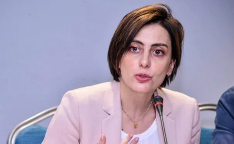 გულახდილი საუბარი იყო, ყველაფერზე ვისაუბრეთ - დეკანოიძე პრეზიდენტთან შეხვედრის დეტალებზე
