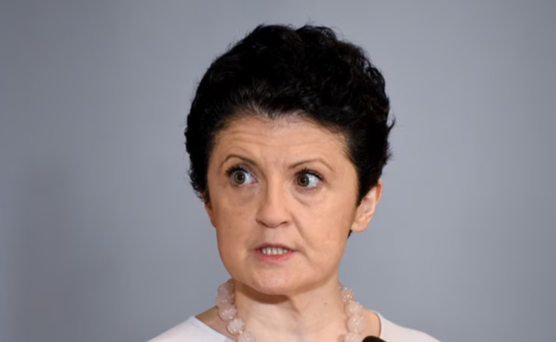ვეუბნებით ყველას, პასუხი იქნება მკაცრი - წულუკიანი USAID-ისგან განმარტებებს ითხოვს
