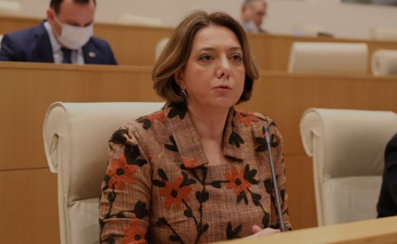 არ მოდის რევოლუცია, დამშვიდდით ან დამამშვიდებლები დალიეთ - სამადაშვილი "ოცნებას"