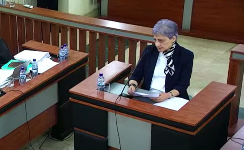 პრეზიდენტი არავის ტყვე არ არის -  მაია კოპალეიშვილი