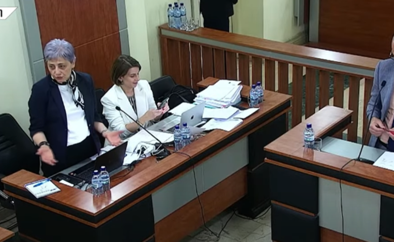 ქალბატონი თამარი არის ავტორი ამ კონსტიტუციის და რატომ ეცინება, ჩემთვის გასაკვირია, თქვენი მხრიდან ირონიაა - ტურავა
