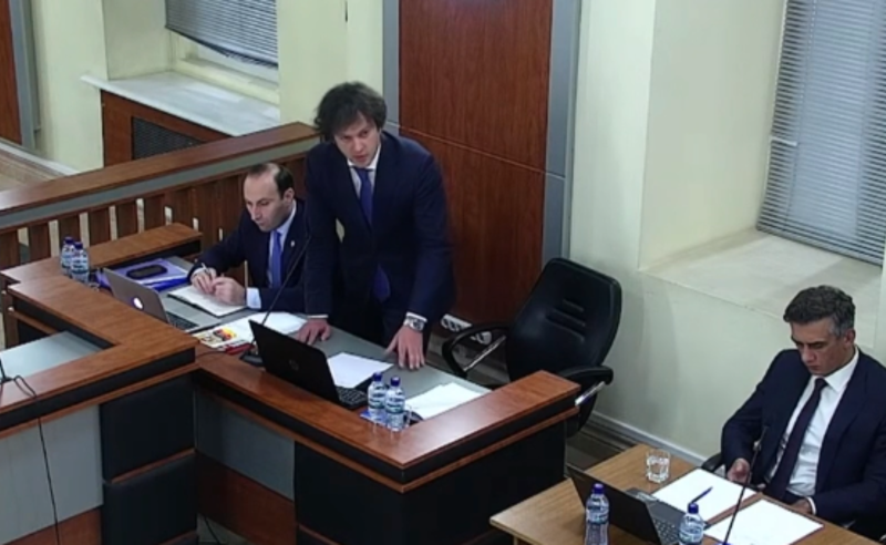 თუ დადებით დასკვნას არ წარმოადგენთ, ნებისმიერ პრეზიდენტს შეეძლება, შეიჭრას მთავრობის ექსკლუზიურ კომპეტენციაში - კობახიძე სასამართლოს