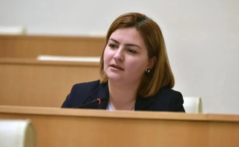 მცდელობაა, შექმნან სურათი, როგორ დასჯიან არამხოლოდ პრეზიდენტს, არამედ ყველას რომელსაც ევროკავშირში უნდა - ნაცვლიშვილი