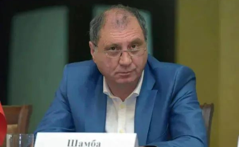აგრესიის შემთხვევაში მოკავშირის იმედი გვაქვს, ეს შეთანხმებაშიც წერია - შამბა