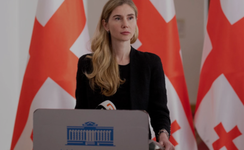 იმედი მაქვს, პრეზიდენტი გამოიყენებს ვეტოს უფლებას - ბოკუჩავა "კარვების კანონზე"