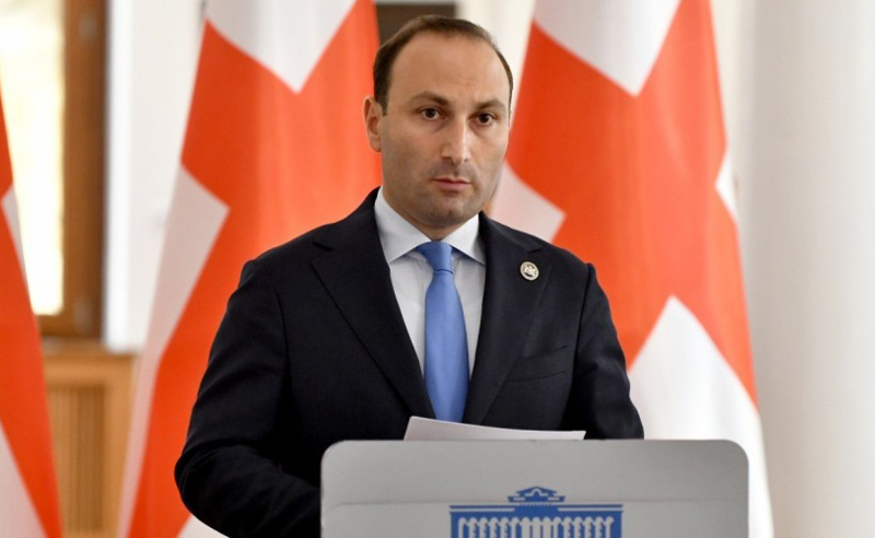 როცა ხვდება სხვა სახელმწიფოს მეთაურს, ეს წარმომადგენლობა კი არ ყოფილა საგარეო ურთიერთობებში, ყოფილა აქტივიზმი - ოხანაშვილი
