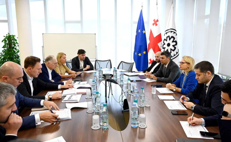 თურნავა კომერციული ბანკებისა და ბიზნეს ასოციაციის წარმომადგენლებთან შეხვედრებს განაგრძობს