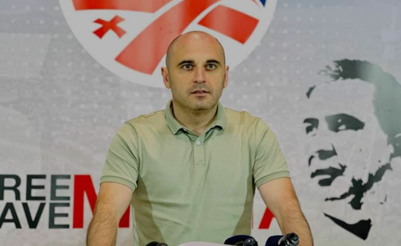 "ოცნება" პრეზიდენტის ინსტიტუტის უპატივცემლობას აჩვენებს - ხაბეიშვილი ალიევის ვიზიტზე