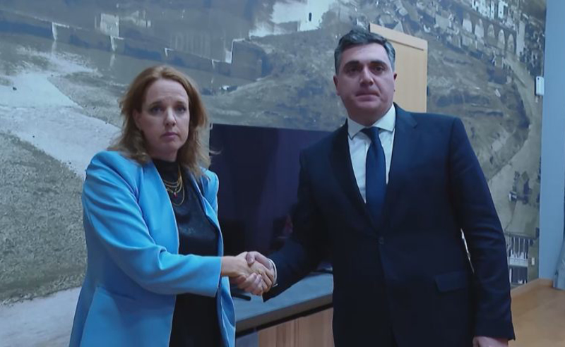 ილია დარჩიაშვილი ისრაელის ელჩს შეხვდა
