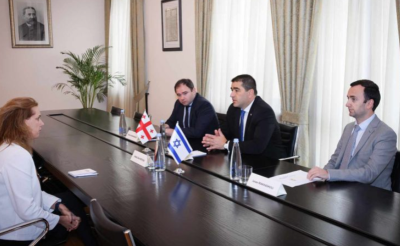 პაპუაშვილი საქართველოში ისრაელის ელჩს ჰადას მეიცადს შეხვდა