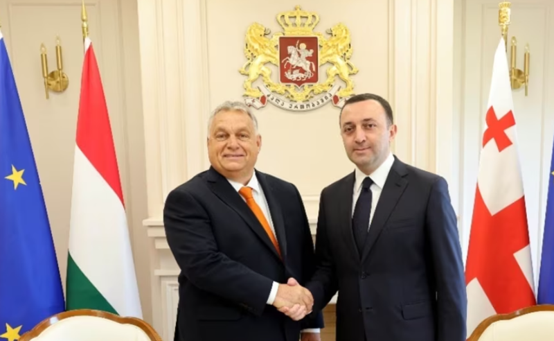 ჩემთვის ორბანი არის სამაგალითო ლიდერი, მისაბაძი პოლიტიკოსი - ღარიბაშვილი