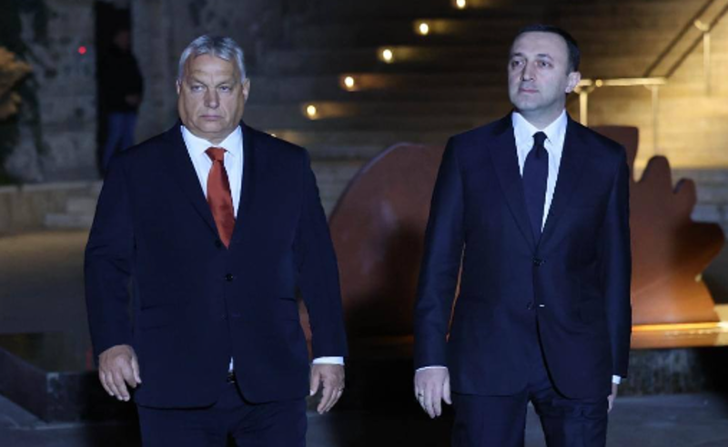 უნგრელ ხალხს გაუმართლა, რომ ასეთ არაპროგნოზირებად დროს ჰყავს ძლიერი და პატრიოტი ლიდერი - ღარიბაშვილი ორბანზე