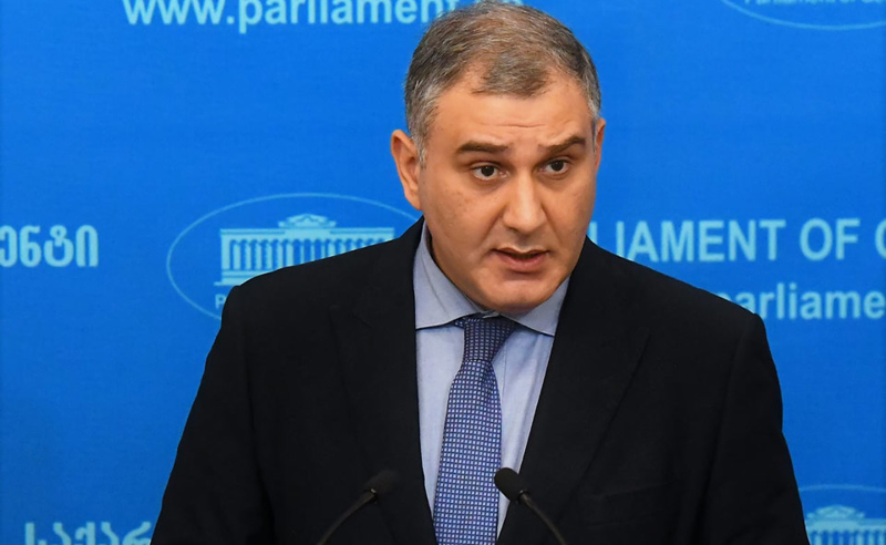 დეოკუპაციის ტემპი იქნება იმაზე სწრაფი, ვიდრე რუსული ბაზის მშენებლობა - სარჯველაძე