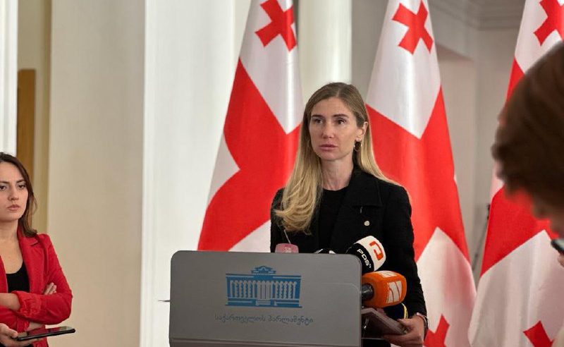 ევროსაბჭოს დელეგაციის წევრად „ოცნება“ თინა ბოკუჩავას ბლოკავს
