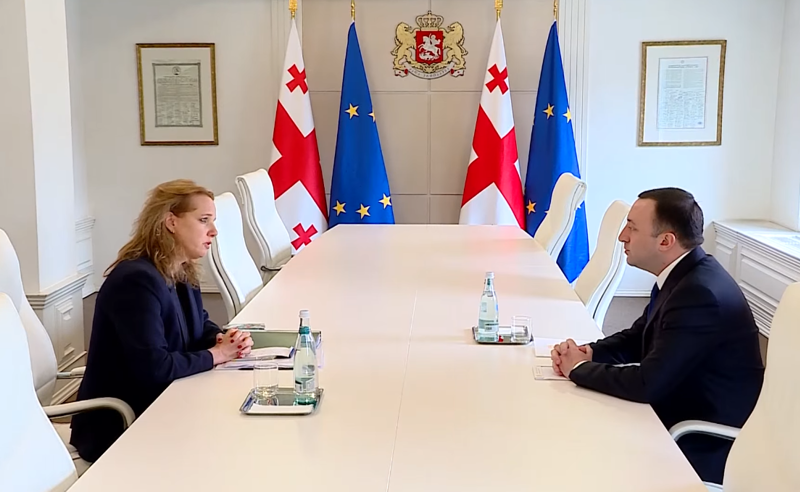 ღარიბაშვილი ისრაელის ელჩს, ჰადას მეიცადს შეხვდა