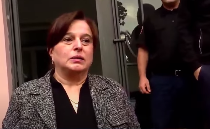 "ევროკავშირისკენ გზა მიდის კონსტიტუციის დაცვაზე"  - მანანა კობახიძე