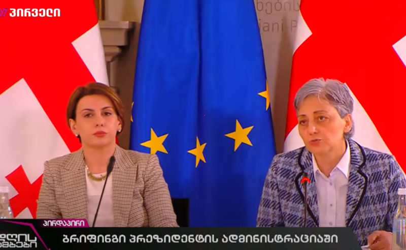 დასკვნა ტენდენციურია, სასამართლო შევიდა პოლიტიკურ პროცესში - მაია კოპალეიშვილი