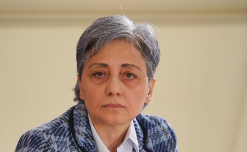 როგორც იტყვიან, საქმემან შენმამ გამოგაჩინოს - კოპალეიშვილი საბჭოს წევრად მოსამართლის შვილის არჩევაზე